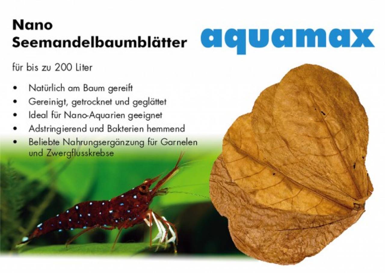 aquamax Seemandelbaumblätter